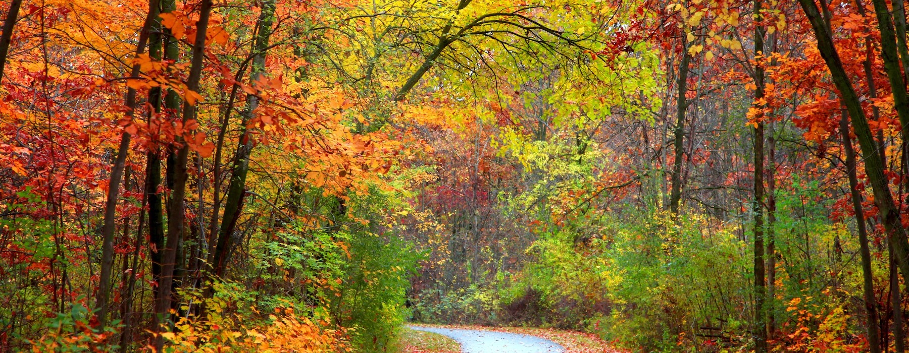 fall colors and open roads